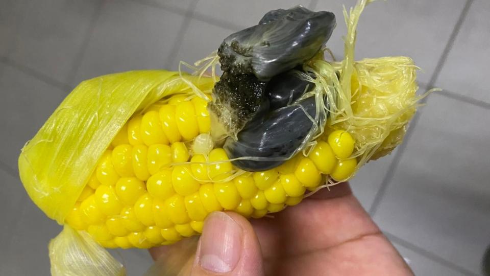 網友驚見玉米長了一團黑色如肉瘤般的東西，上網求解。（圖／翻攝自「花蓮同鄉會」臉書）