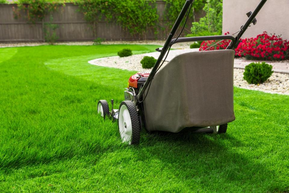 Lawn mower on grass lawn