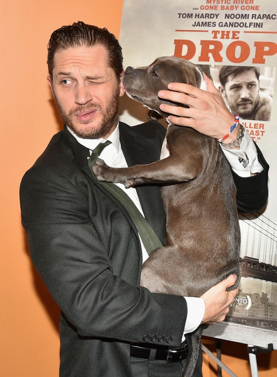 <p>Tom Hardy is a major dog lover and was left devastated when his canine Woody (who accompanied him to the Legend premiere in 2015) passed away a few years ago. </p><p>Here's Hardy with Rocco, who starred in his film The Drop in 2014.</p>