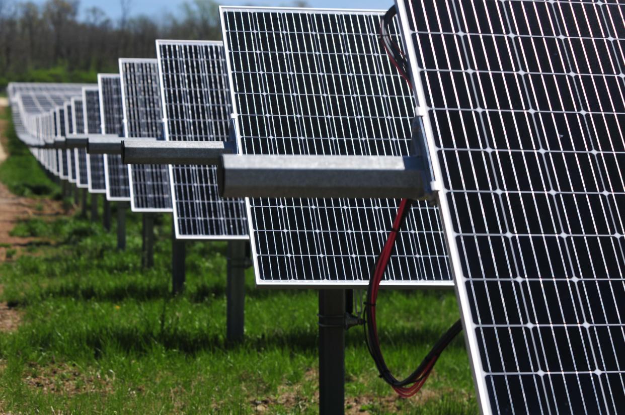 Rows of solar panels create electricity at the Richmond 2 solar park.