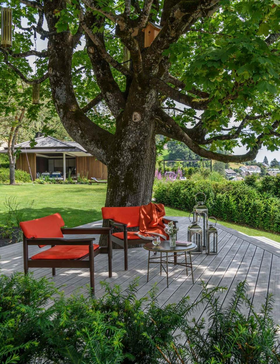 Créer de l’ombre au jardin grâce aux arbres