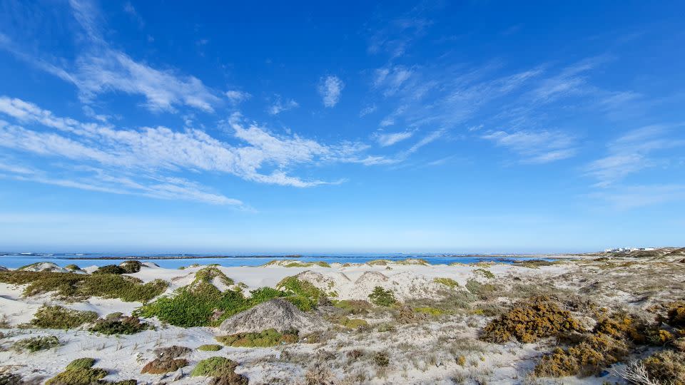 A beach in the northwest of South Africa where De Winton's golden moles are living. - JP Le Roux