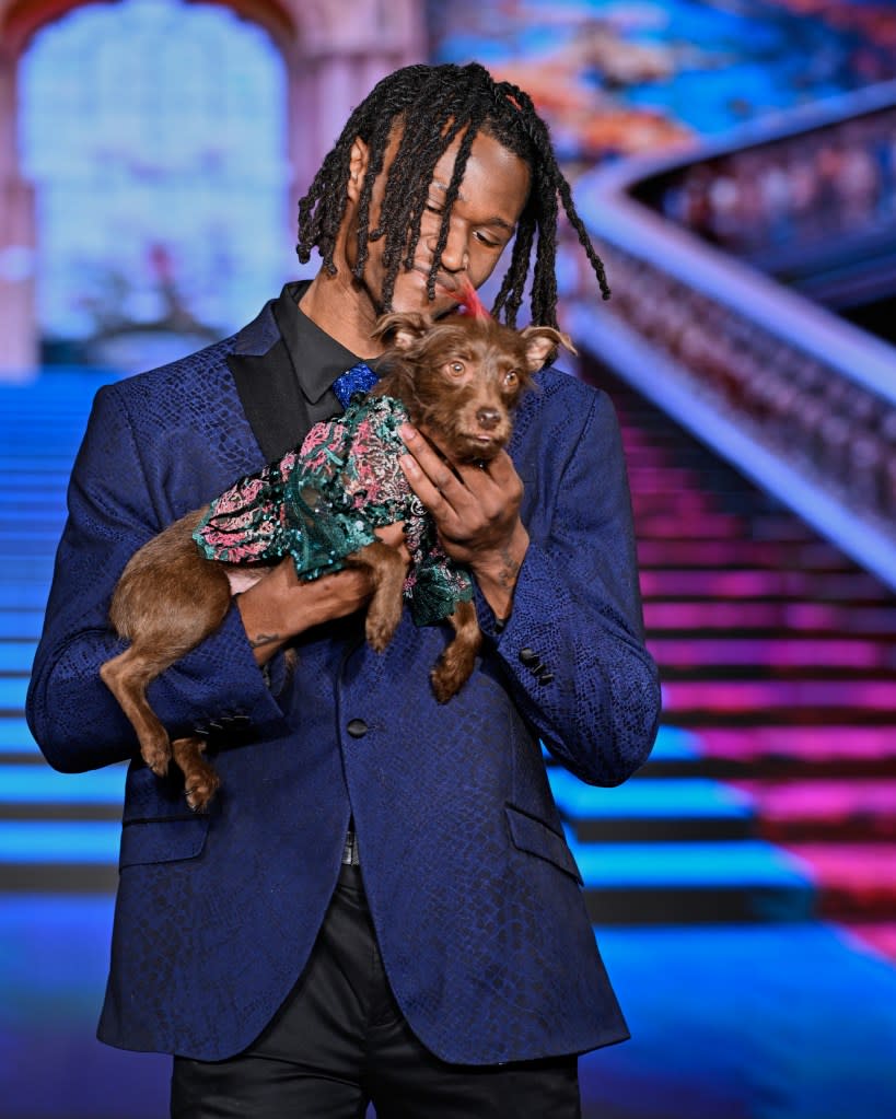 Rubio designed the pet couture with handmade and embroidered roses in colors designed to bring joy. Arun Nevader/Getty Images for Art Hearts Fashion