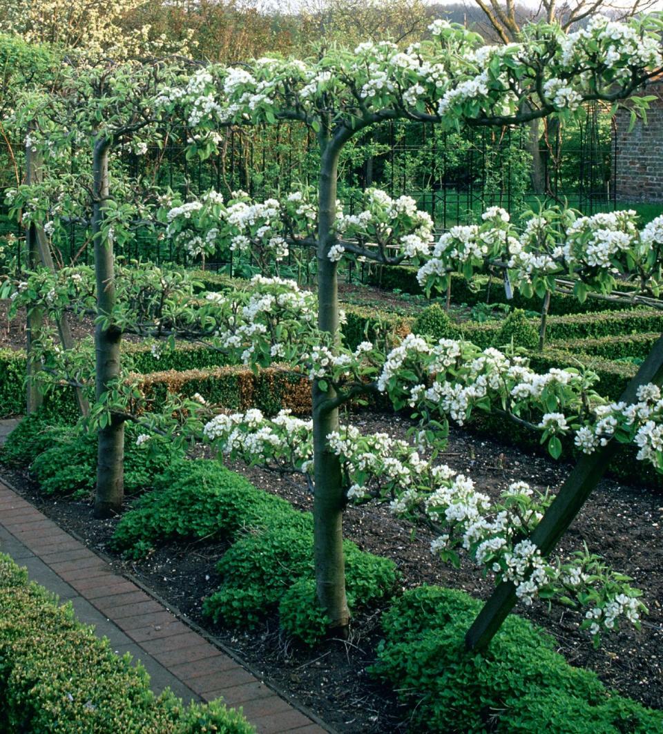 Photo credit: Glorious Gardens, by Country Living|The Garden-Collection, Andrew Lawson