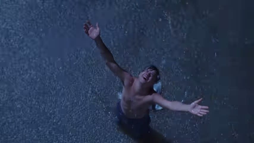 Andy in "The Shawshank Redemption"