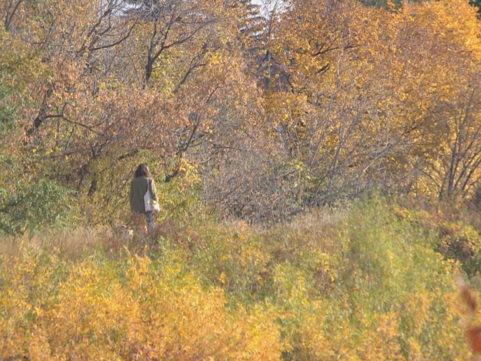 September was a warm month for many in Saskatchewan, with numerous heat records broken. (Adam Bent/CBC - image credit)