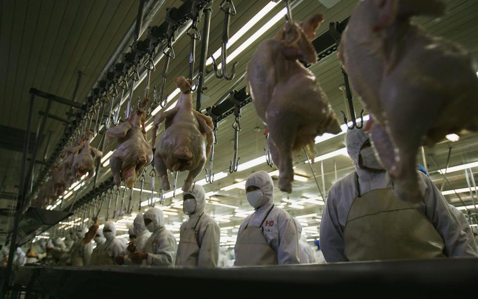 To date 1,625 cases of the H7N9 influenza have been reported in humans - mostly in China - Getty Images