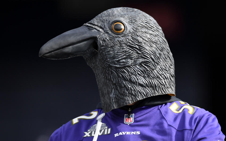 Jan 10, 2021; Nashville, Tennessee, USA; A Baltimore Ravens fan looks on from the stands before a AFC Wild Card playoff game against the Tennessee Titans at Nissan Stadium. Mandatory Credit: Christopher Hanewinckel-USA TODAY Sports