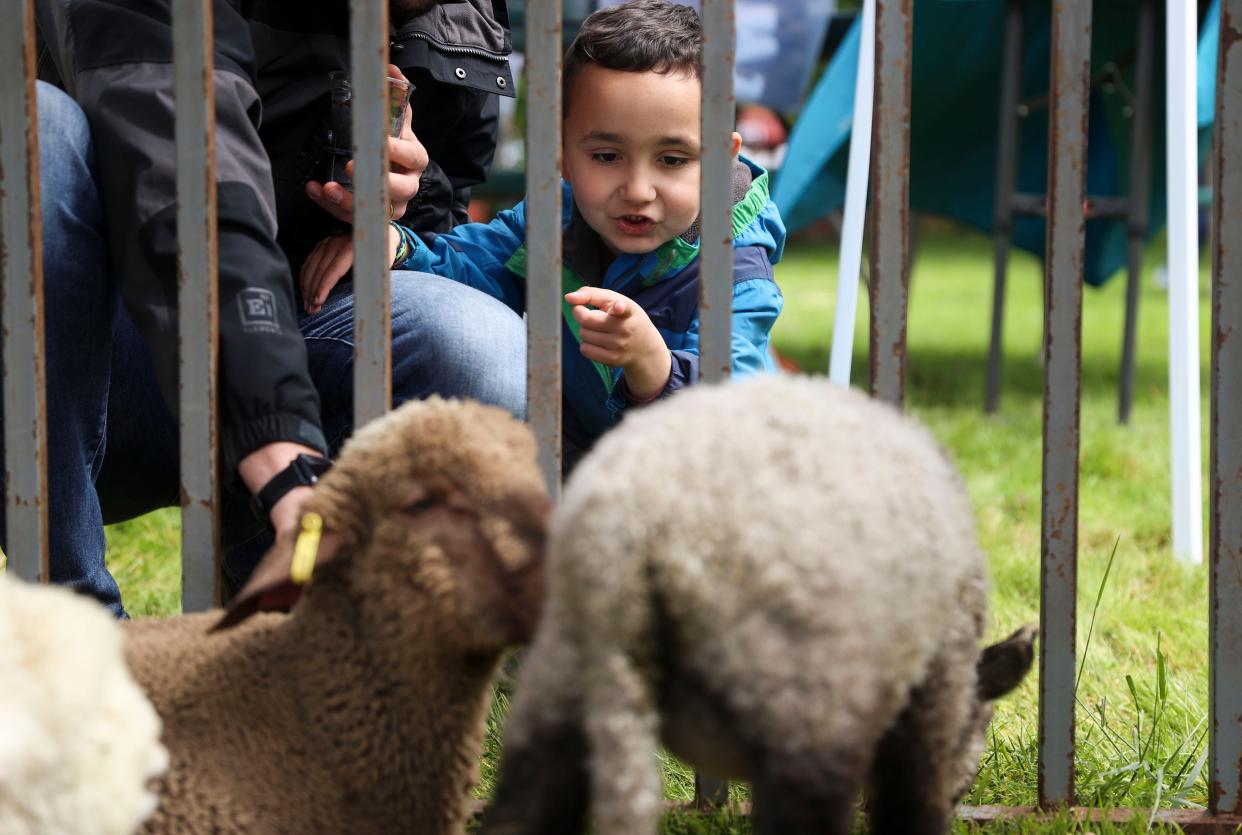 Micah Thierman, 5, points to baby sheep during the 36th annual Sheep to Shawl event at Willamette Heritage Center in Salem in May 2022.