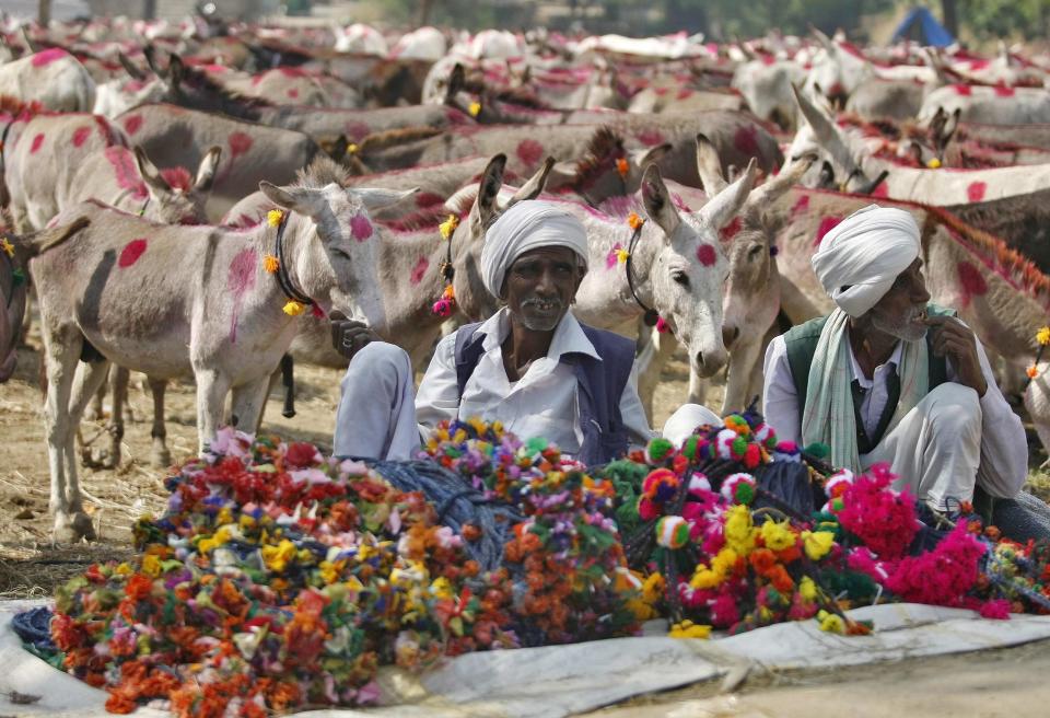 Vendors selling decorative items for donkeys wait for customers during an annual donkey fair at Vautha