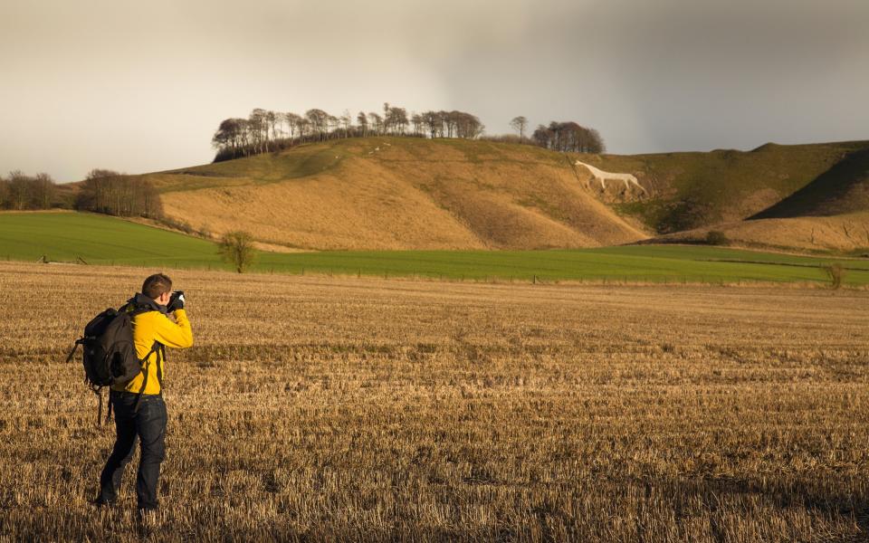 The Cherhill White Horse is carved into green hills above the A4