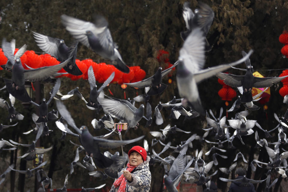 In this Wednesday, Jan. 30, 2019, file photo, a woman takes a selfie with pigeons flying over her at Ditan Park decorated with red lanterns ahead of the Chinese Lunar New Year in Beijing. Chinese will celebrate Lunar New Year on Feb. 5 this year which marks the Year of the Pig on the Chinese zodiac. (AP Photo/Andy Wong, File)