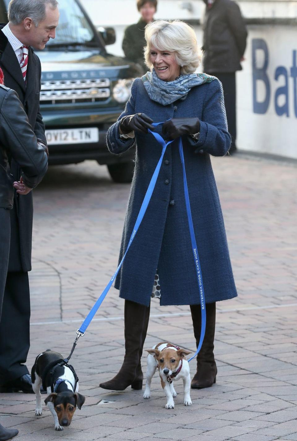 <p>Prince Charles and Camilla are currently proud parents to two Jack Russell Terriers, Bluebell and Beth. Occasionally, they assist with Camilla's royal duties—sometimes even unveiling plaques themselves, as total champ <a href="https://www.townandcountrymag.com/society/tradition/a34917924/camilla-royal-dog-beth-unveils-plaque-video/" rel="nofollow noopener" target="_blank" data-ylk="slk:Beth recently did at the Battersea Dogs and Cats Home;elm:context_link;itc:0;sec:content-canvas" class="link ">Beth recently did at the Battersea Dogs and Cats Home</a>.</p>