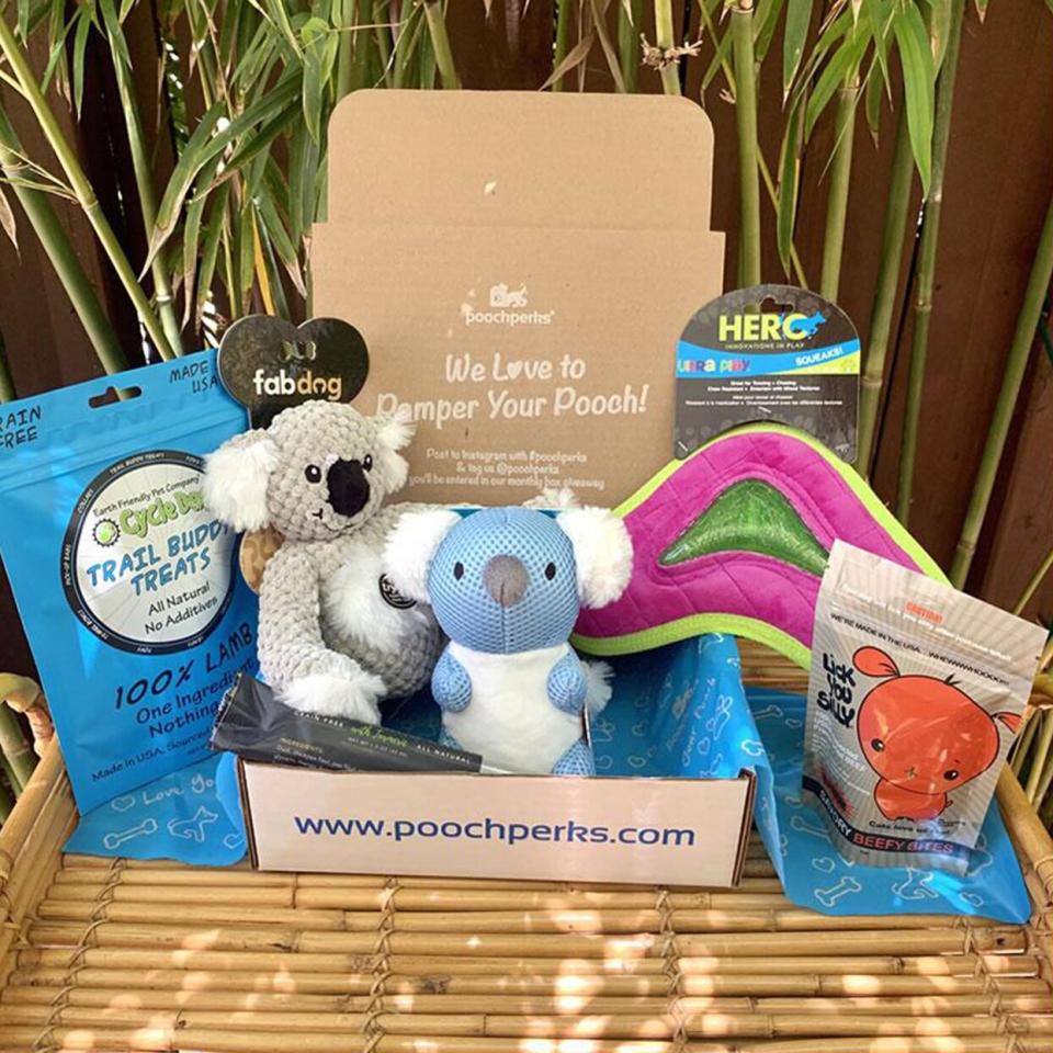 pooch perks subscription box