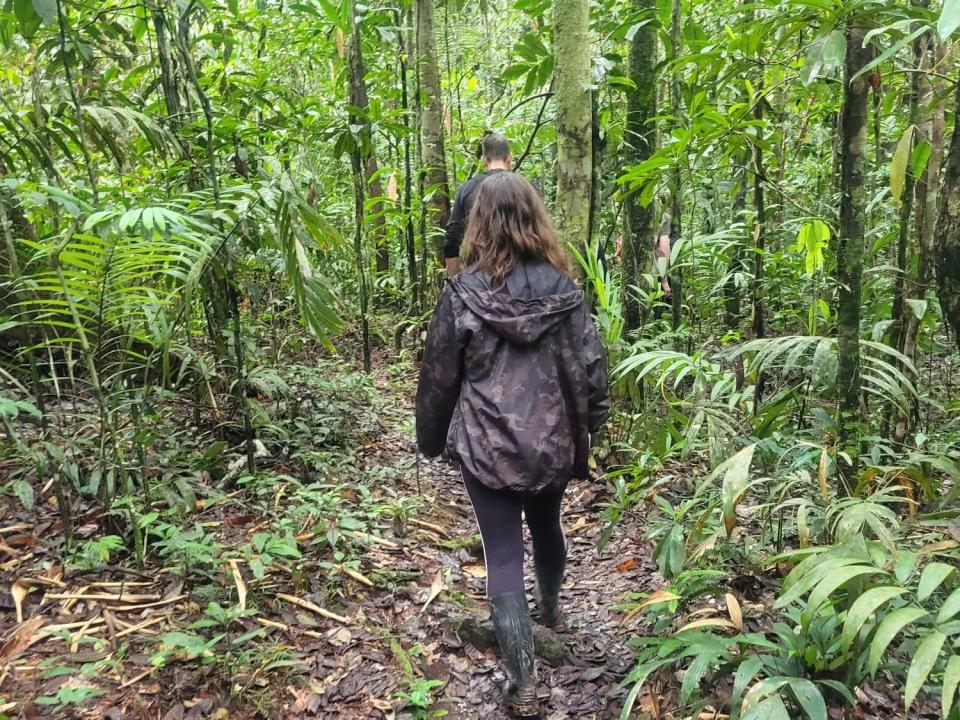 people hiking through the amazon rainforest