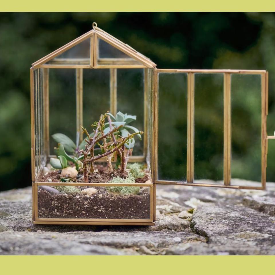 House any humidity-loving plants, succulents or mosses inside this terrarium made to function like a mini greenhouse of glass panes set inside a brass-coated steel frame. It's able to hold a full bed of substrate and plants, while a large swing door makes it easy to access the inside.You can buy this glass terrarium from Etsy for around $59.