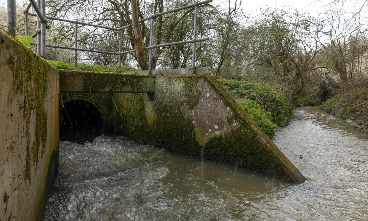 <span>Sewage being discharged into a brook from a nearby treatment works run by Thames Water in April 2023 after heavy rainfall.</span><span>Photograph: Dan Kitwood/Getty</span>