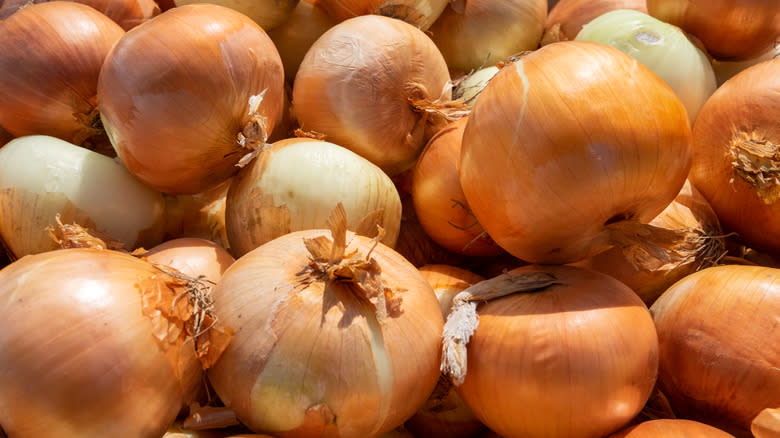 large spanish onions