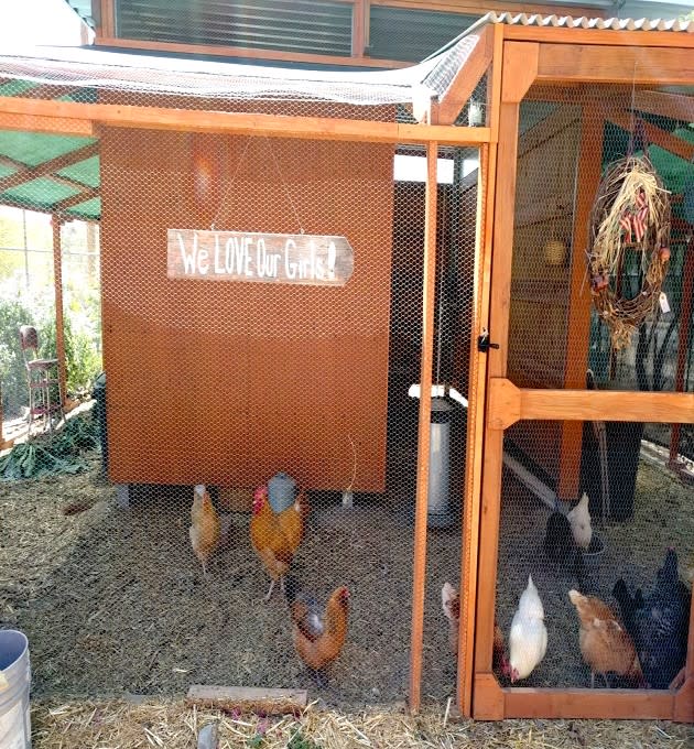 The chicken coop (Deborah Fallows / The Atlantic)