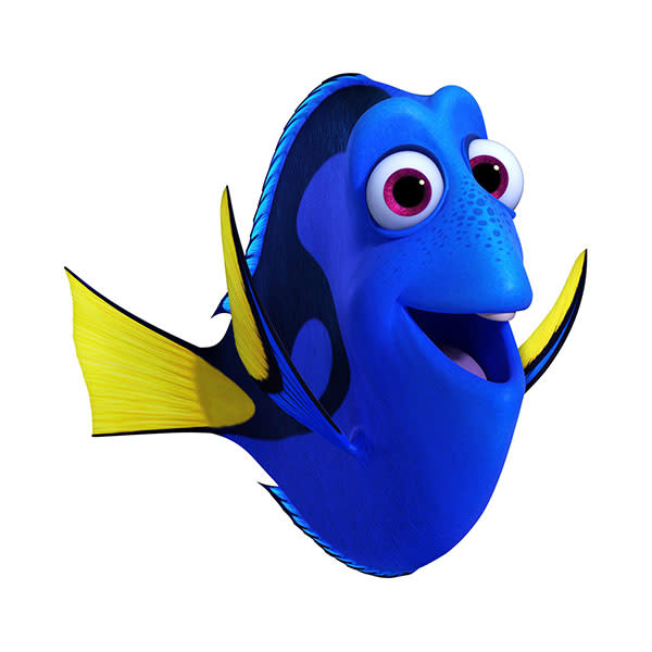 9 Sea Creatures in Disney / Pixar's Finding Dory