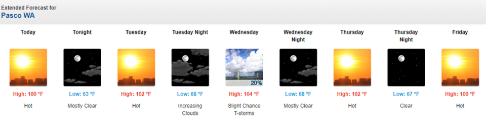 The Tri-Cities, Washington, forecast until July 19, 2024.