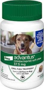 Advantus (Imidacloprid) Chewable Flea Treatment (1)