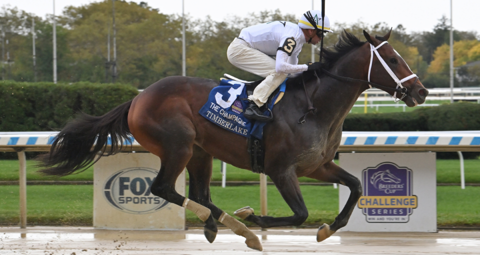 Timberlake and jockey Florent Geroux win the Grade 1 Champagne Stakes on Oct. 7 at Aqueduct. Trained by Louisville's Brad Cox, Timberlake is a top contender for Friday's Breeders' Cup Juvenile at Santa Anita Park.