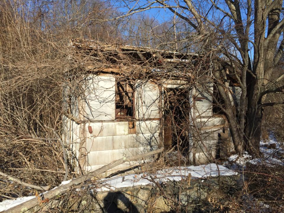 A dilapidated building with a busted roof and rusted window frames is engulfed in dead trees and thorns in the French Hill Section of Donald J. Trump State Park in Yorktown, N.Y. (Photo: Michael Walsh/Yahoo News)