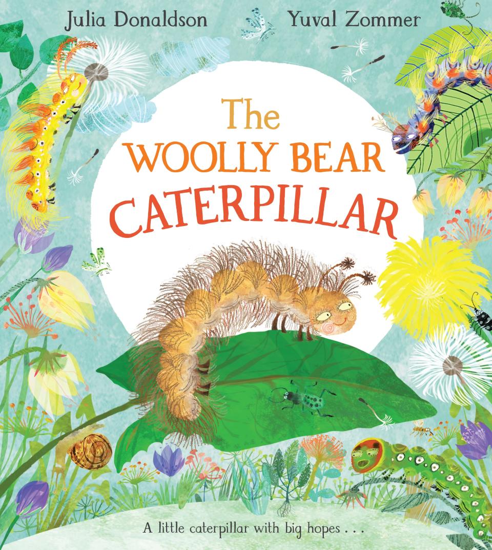 Donaldson’s new book ‘The Woolly Bear Caterpillar’ is a take on the ugly duckling story (Macmillan)