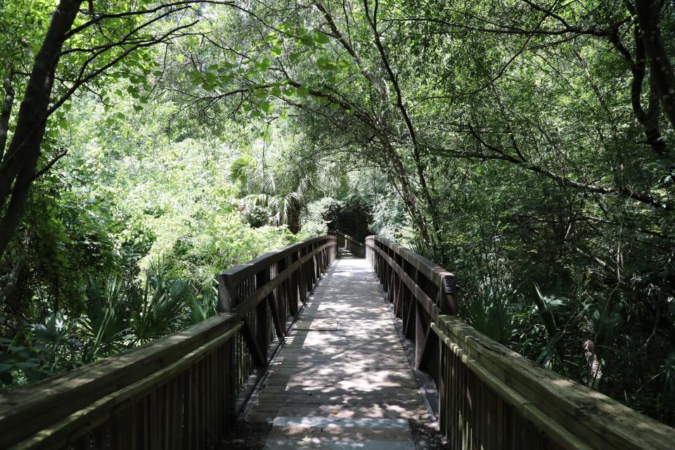 This bridge through a forested canopy marks the start of the nature trail at Alfred A. Ring Park in Gainesville, Florida on June 27, 2023.