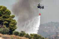 Wildfire near the village of Galataki