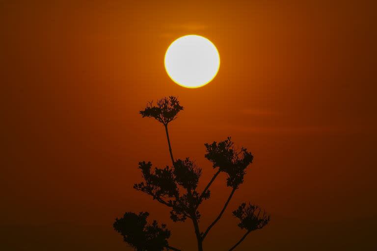 El sol sale en medio de altas temperaturas en la Ciudad de México, el jueves 23 de mayo de 2024.