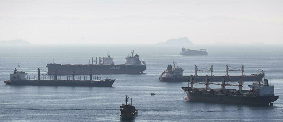 Douze cargos doivent quitter dans la journée les ports d'Ukraine. (Photo d'illustration).  - Credit:ERDEM SAHIN / EPA / EFE