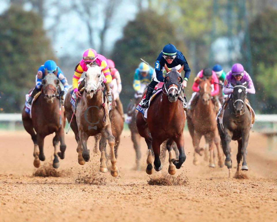 In last year’s running of the Blue Grass Stakes at Keeneland, Tapit Trice, second from left, held off Verifying to win the key Kentucky Derby prep race.