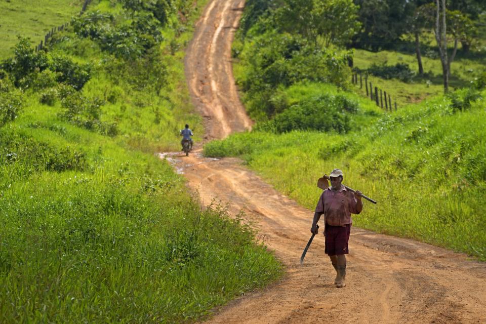 A rubber-tapper walks down a road in Seringal Humaita, in the Chico Mendes Extractive Reserve, in Brasileia, Acre state, Brazil, Thursday, Dec. 8, 2022. Classic rubber tapping is done by slicing grooves into the bark of rubber trees and collecting the latex that oozes out. But that artisanal rubber has fallen into decline over decades, a casualty of synthetic rubber made in chemical factories or rubber grown on plantations. (AP Photo/Eraldo Peres)