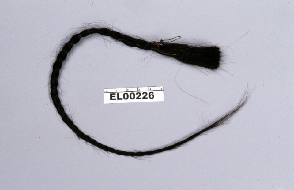 Image: Sitting Bull's scalp lock (Eske Willerslev)