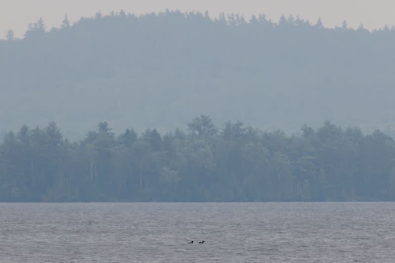 FILE PHOTO: A pair of Common Loons swim in Centennial Lake near a forest fire that has been burning since Sunday in the Township of Greater Madawaska