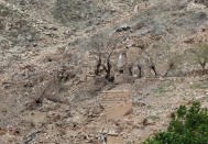 Burn trees are seen the site of a MOAB, or ''mother of all bombs'', which struck the Achin district of the eastern province of Nangarhar, Afghanistan April 23, 2017. REUTERS/Parwiz