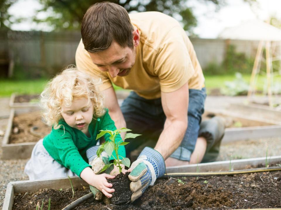 Gardening at home creates a different kind of social connection (Getty Images)