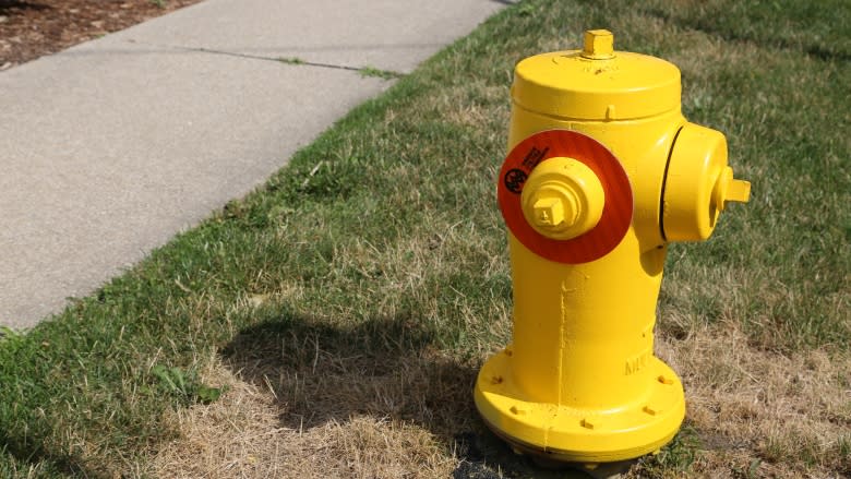 Life made easier for fire crews with updated Windsor fire hydrants