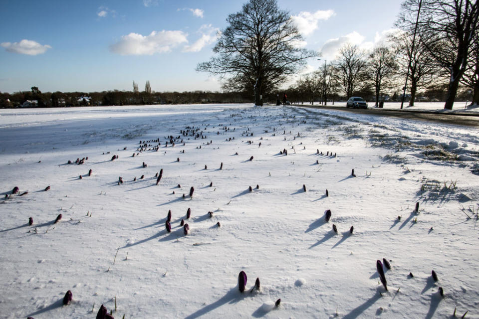 <p>General view of the Roundhay Park in Leeds as it covered in snow and ice. The Met Office has predicted that there will be light snow over the city in the early part of the morning before changing to a forecast of snow around 8am. Getty) </p>