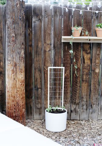 24 Easy DIY Trellis Ideas for Your Garden - Yahoo Sports