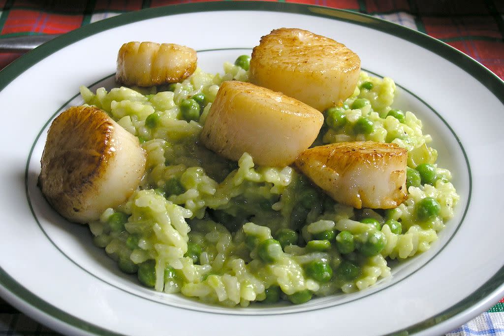 Scallop Risotto