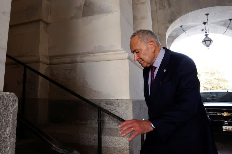 U.S. Senate Majority Leader Schumer celebrates with activists after a breakthrough to allow a vote on expanding healthcare to veterans at the U.S. Capitol in Washington