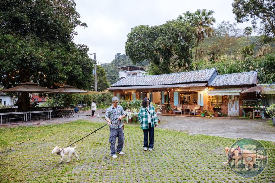 「好適山坡」提供寵物友善的環境，許多客人平日，也帶狗上門。