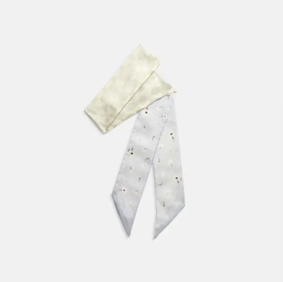 Daisy Script Print Skinny Scarf (Photo via Coach)