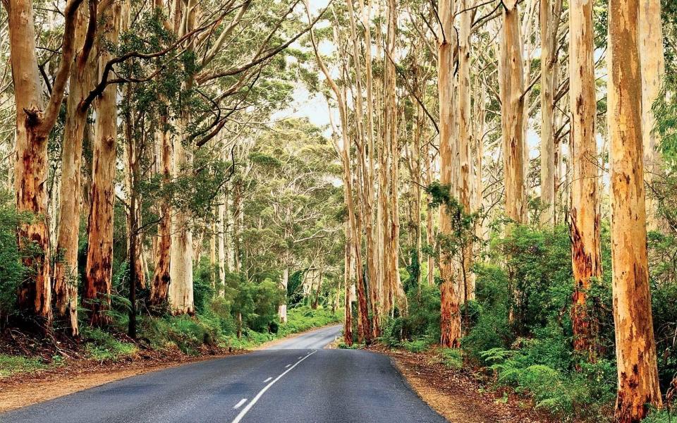 Margaret River Australia