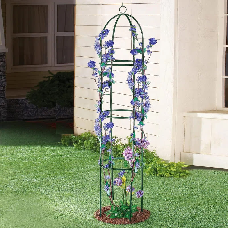 Garden trellis with purple flowers situated on lawn beside a house