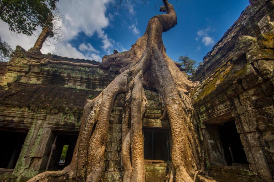 Stop off at the Ta Prohm temple first thing (Garrett Ziegler)