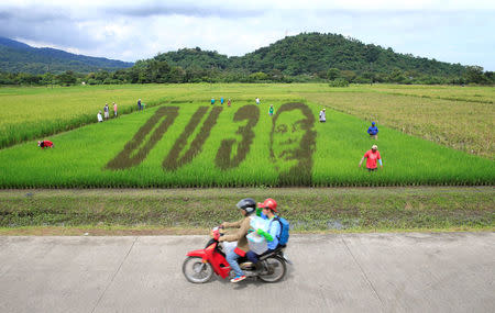 An artwork featuring the image of Philippine President Rodrigo Duterte with the letters D U and the number 3, a word play on the President's surname "DU30", is seen on a rice paddy in Los Banos city, Laguna province, south of Manila October 6, 2016. REUTERS/Romeo Ranoco/File Photo